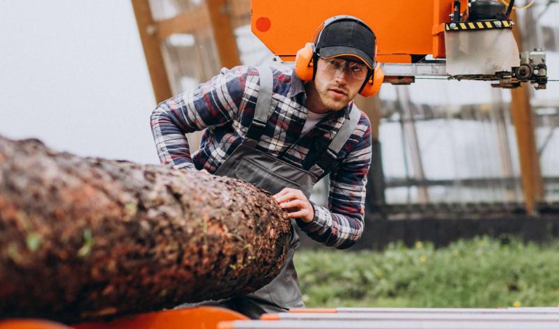 Selling timber wood in Slovenia