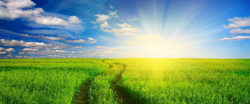 Ponudba gnojil na Gorenjskem