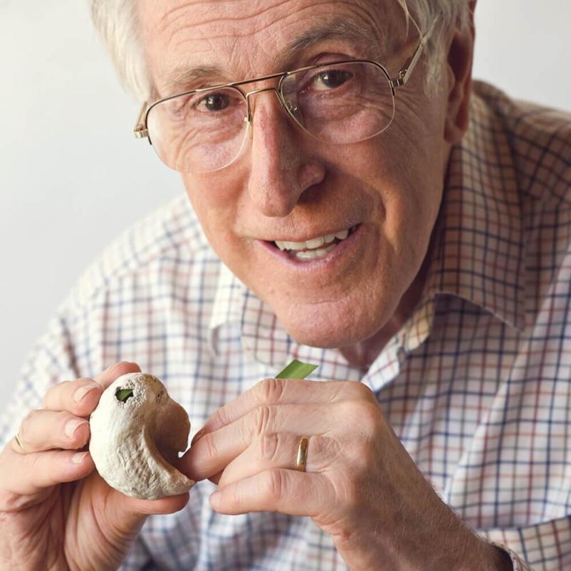 Ugodni slušni vsakdi