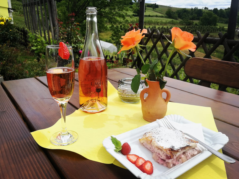 Turistična kmetija s prenočišči Štajerska