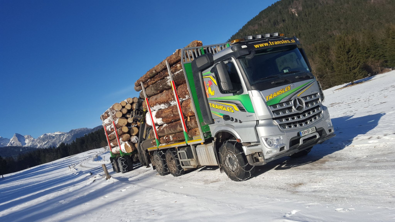 Ugoden odkup lesa Gorenjska