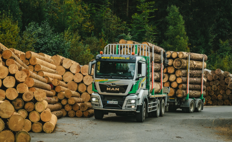 Prodaja hlodovine Gorenjska