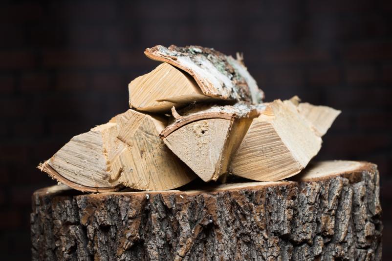 Spravilo lesa Dolenjska