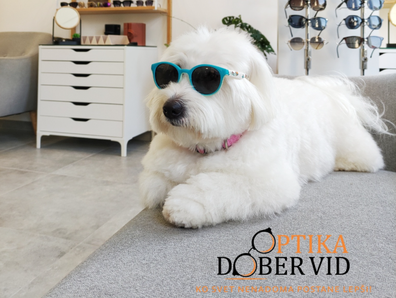 Dobra očala v Ljutomeru, Pomurju