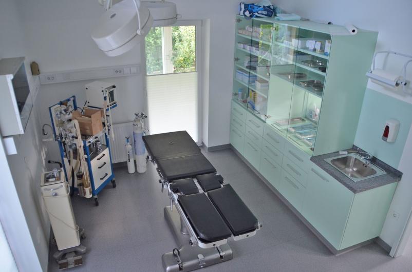 Ultrazvok za živali Kamnik in okolica