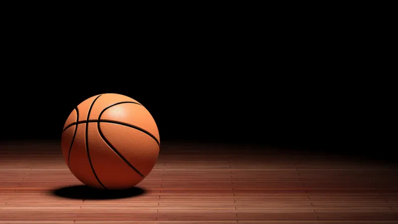 Vpis v košarkaški klub Krško, Posavje