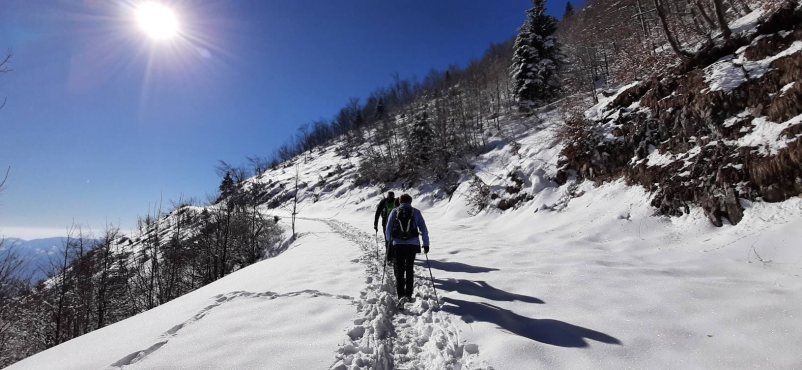 Planinsko društvo Osrednja Slovenija