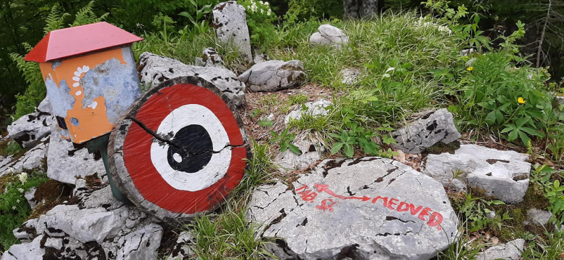 Organizirano pohodništvo Škofljica