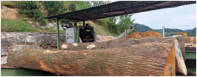 Žaga in les Velenje