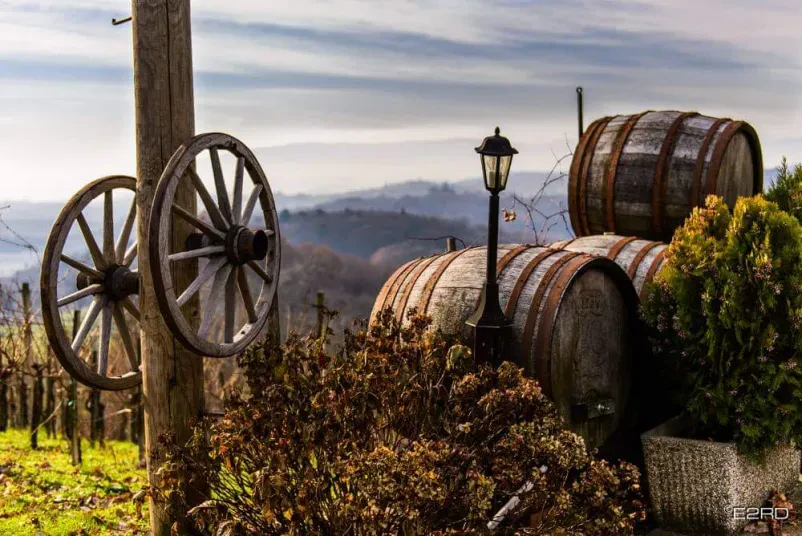 Degustacija vin Jakobski dol