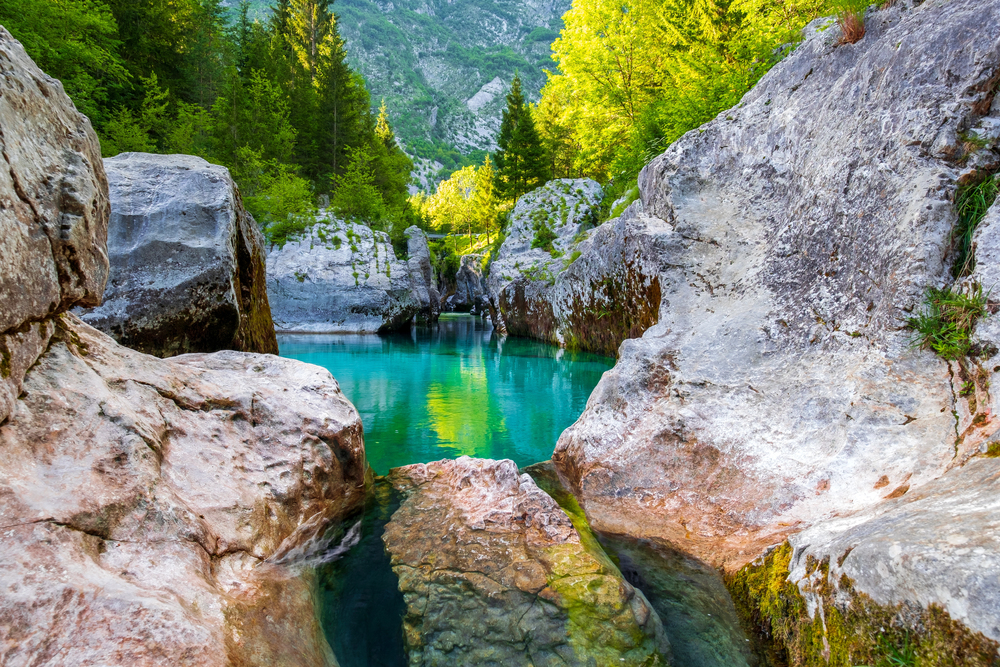 Agrarne skupnosti Slovenija