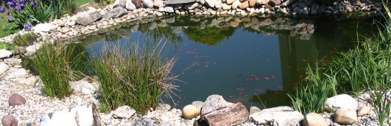 Airmac Slovenija ponudba za ribnike