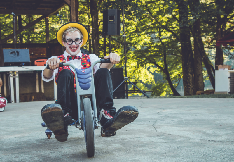 Animacija otrok in odraslih v Sloveniji