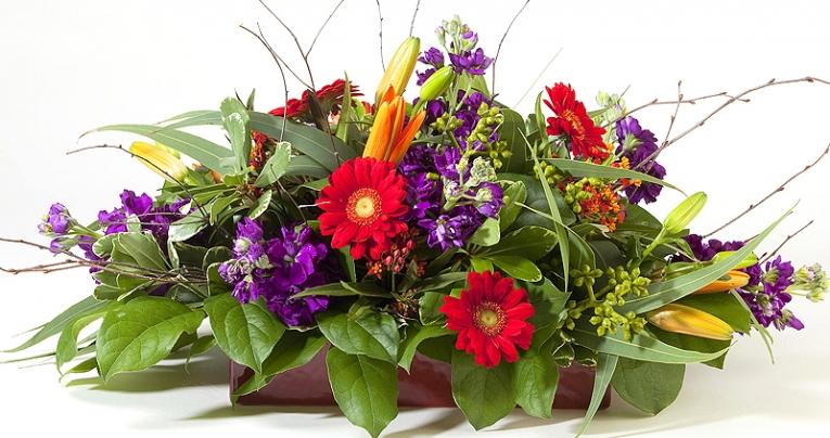 Dekoracije za cvetličarne in dekoracije