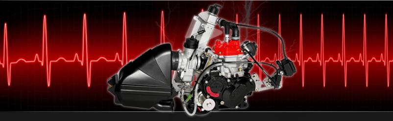 Kvalitetni deli za gokart Slovenija