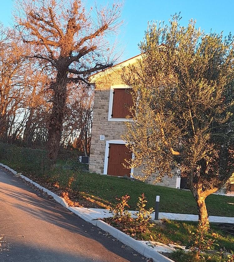 Ekstra deviško oljčno olje Obala