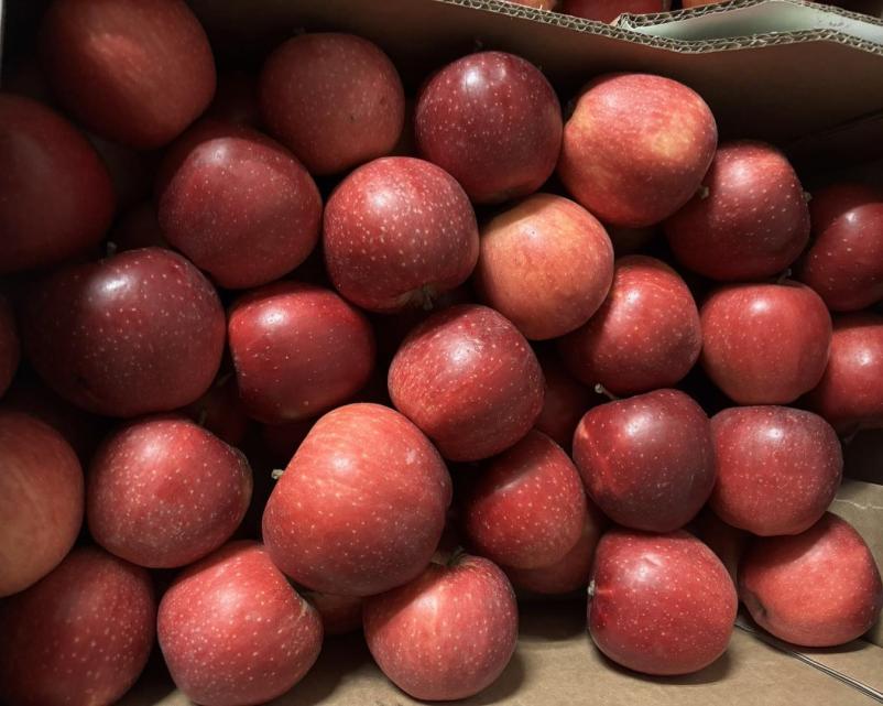 Ekološka kmetija Podgrajšek, Slovenska Bistrica