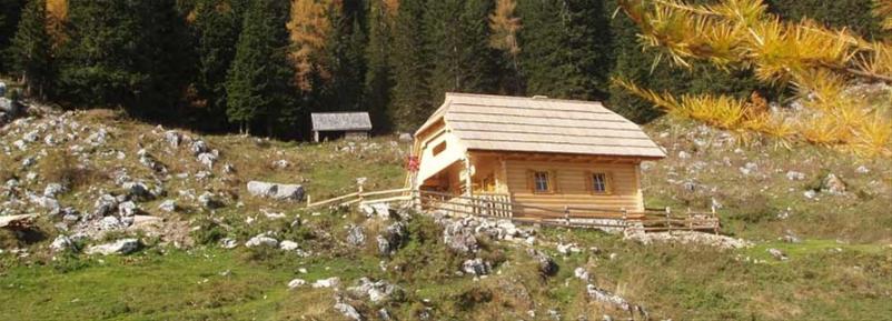 Ugodna izdelava brunarice na Savinjskem