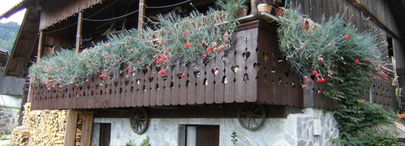 Izdelava lesene brunarice Savinjska