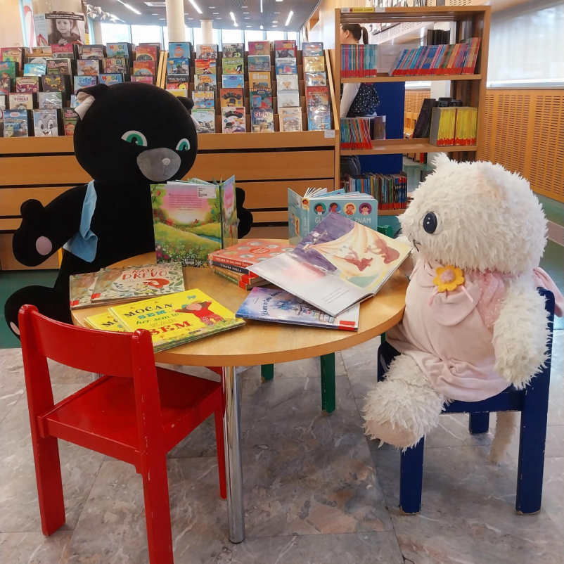 Občinska Knjižnica Franceta Bevka Nova Gorica