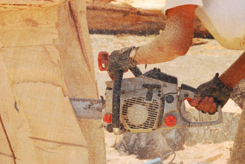 Kvaliteten razrez lesa Pomurje