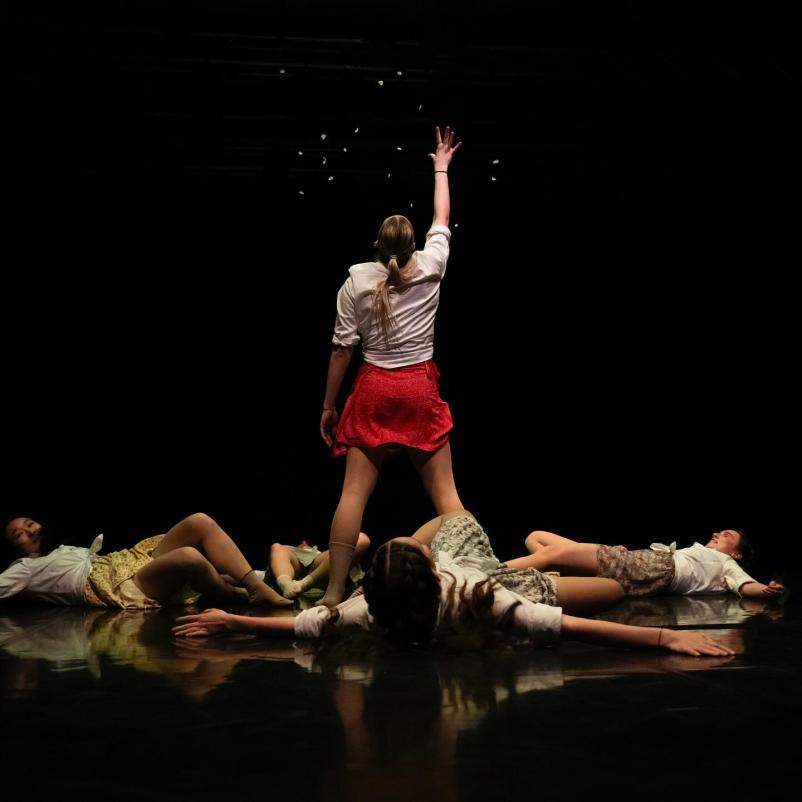 Kvalitetna, a ugodna šola plesa Ljubljana