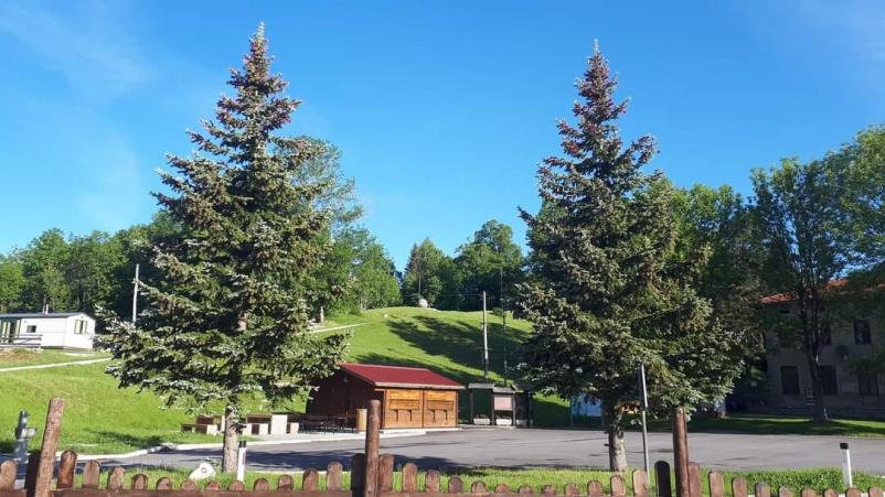 Malice in kosila Nova Gorica