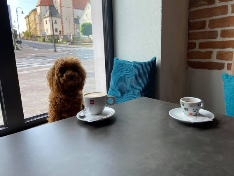 Praznovanje rojstnega dne Lenart v Slovenskih Goricah