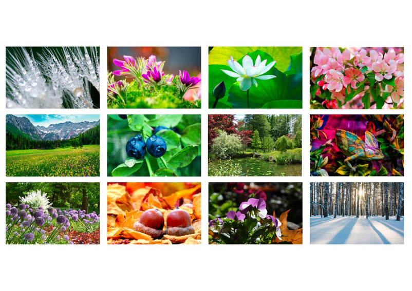 Veleprodaja kvalitetnih koledarjev Slovenija