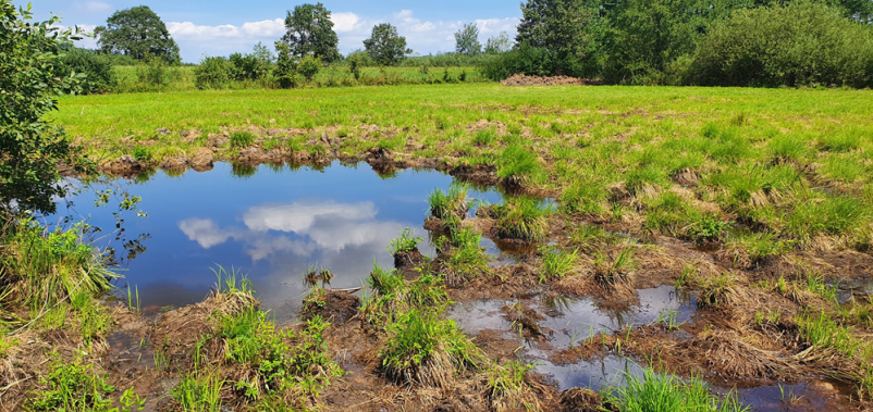 Krajinski park Radensko polje