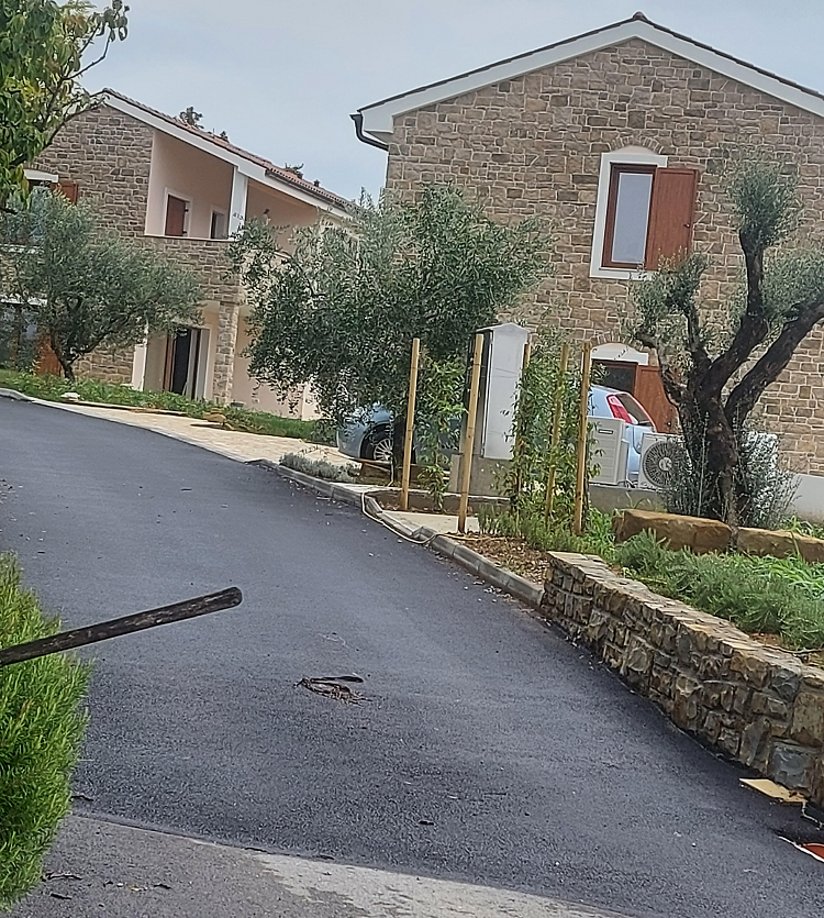 Vendita di olio d'oliva extravergine fatto in casa, costa slovena