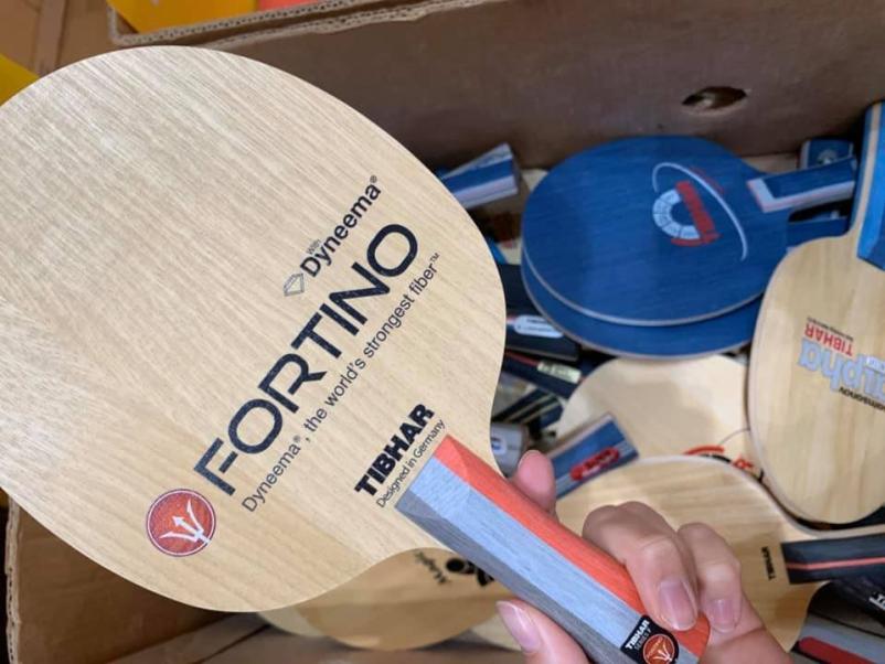 Kvalitetna oprema za namizni tenis Slovenija