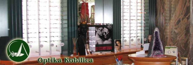 Pregled vida v optiki Kobilica