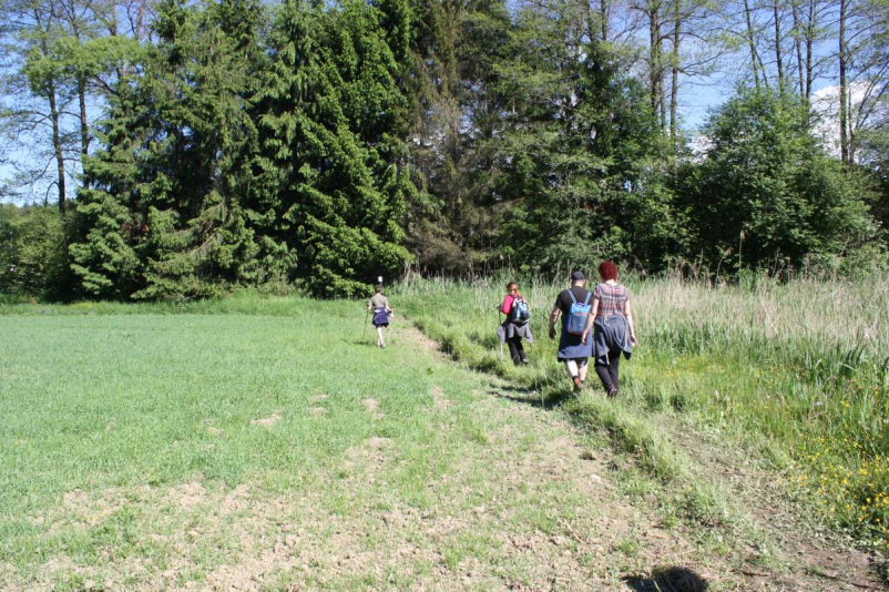 Organizacija športnih dogodkov Ponikva - z nami ni nikoli dolgčas!