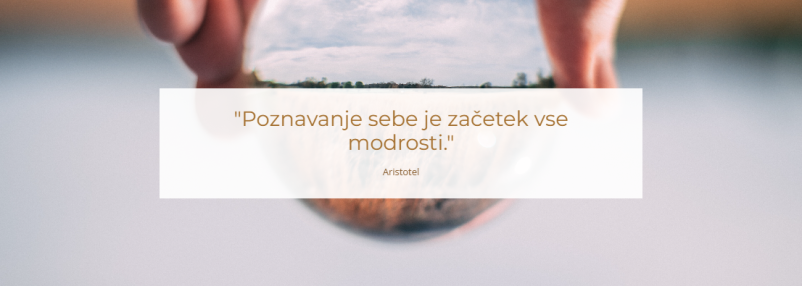 Partnerska psihoterapija Ljubljana, Nova Gorica