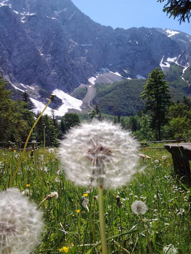 Prenočišča Logarsska dolina cena