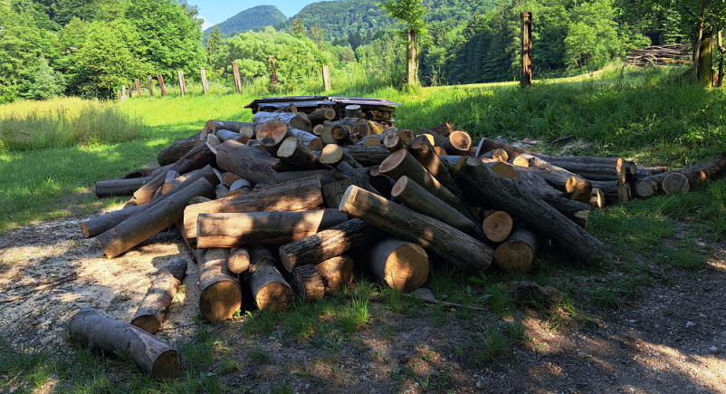 Kvaliteten posek lesa Gornji Grad
