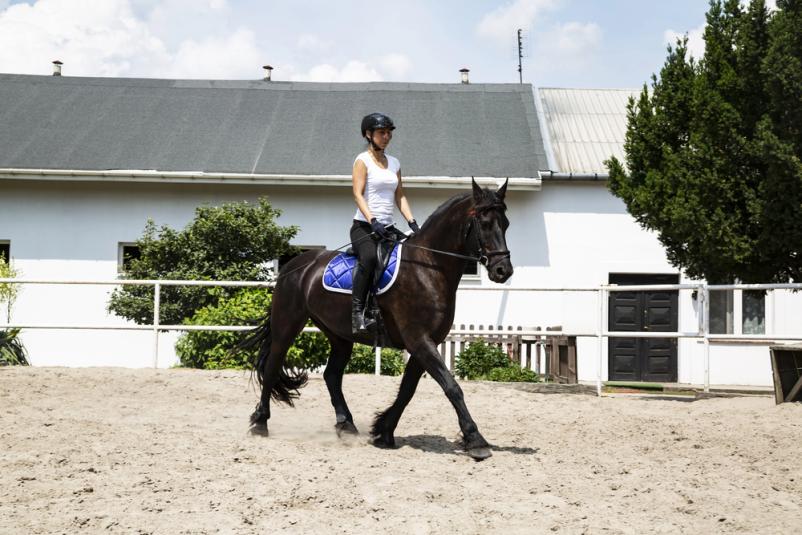 Praznovanje rojstnega dne s konji Ljubljana