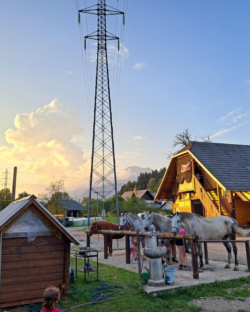 Odlična šola jahanja Radovljica