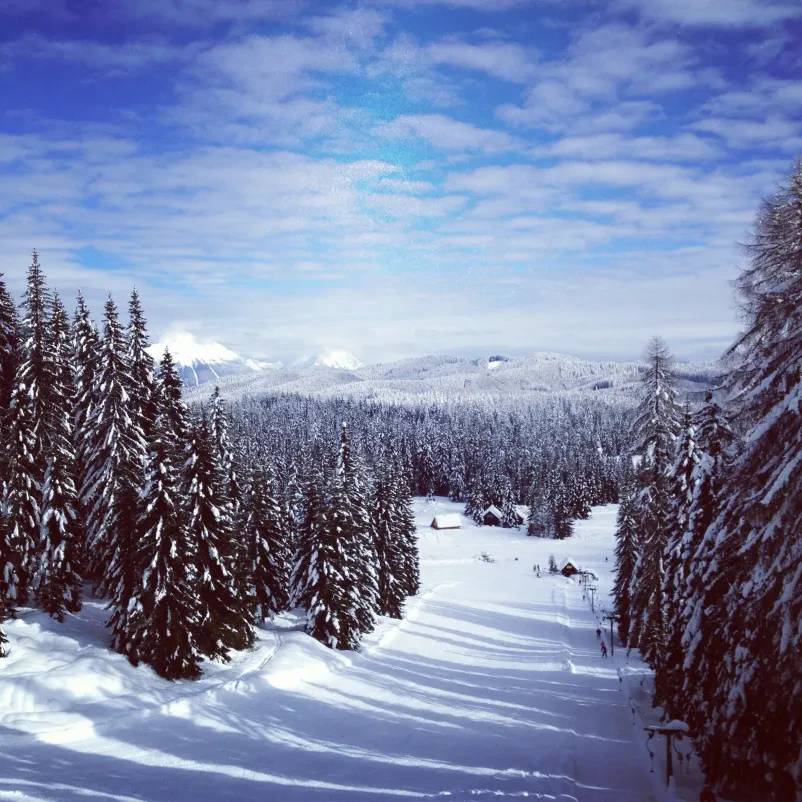 Ugodna šola smučanja Pokljuka, Gorenjska