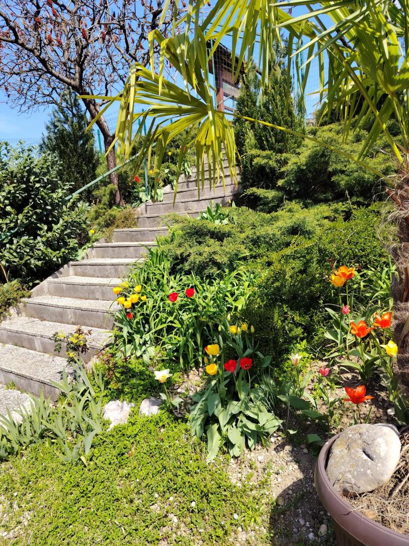 Zakaj izbrati Tenis klub Metulj Šempeter, Savinjska