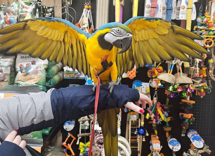 Vabljeni v našo trgovino za živali v Osrednji Sloveniji!