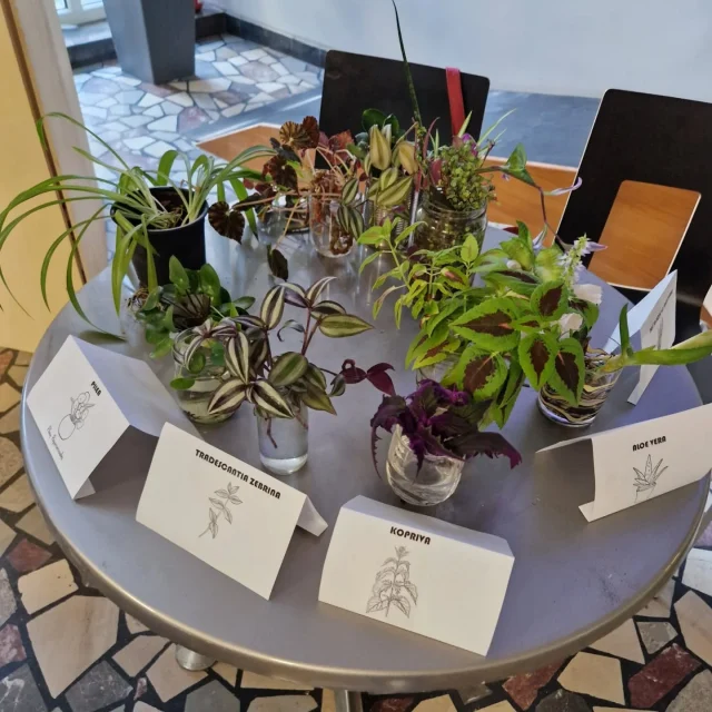 Vpis v dijaški dom v Osrednji Sloveniji