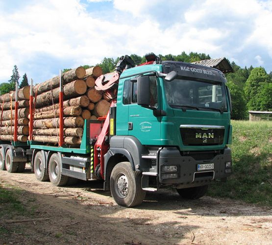 Ugoden odkup in prevoz lesa Gorenjska