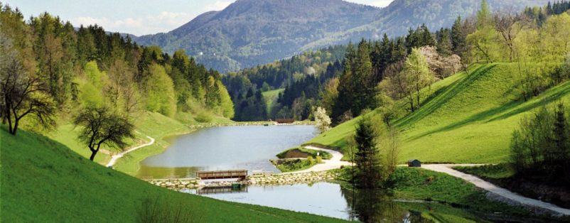 Ugodni apartmaji Zreče za aktivne