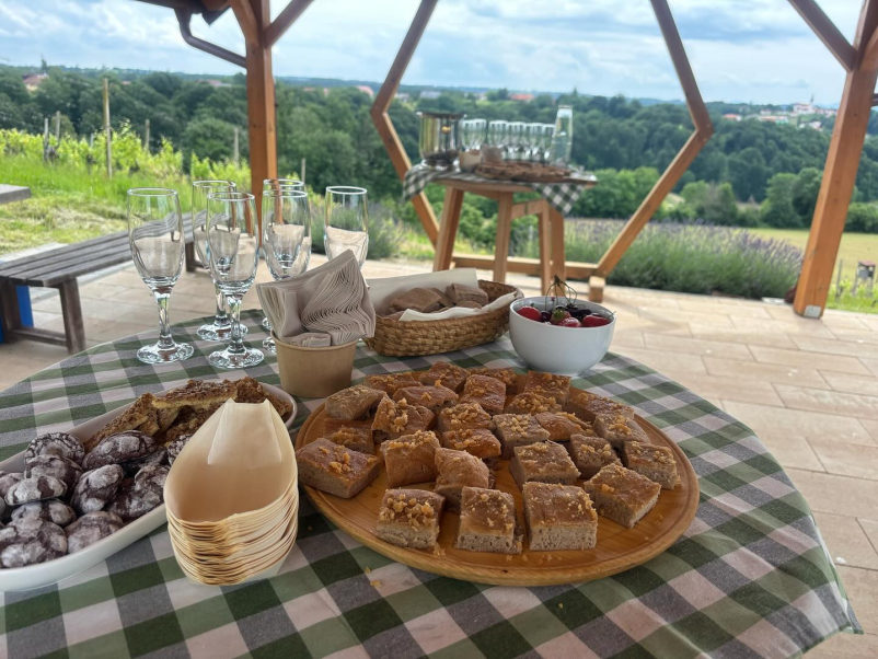 Ugodne sobe na kmetiji Vitomarci