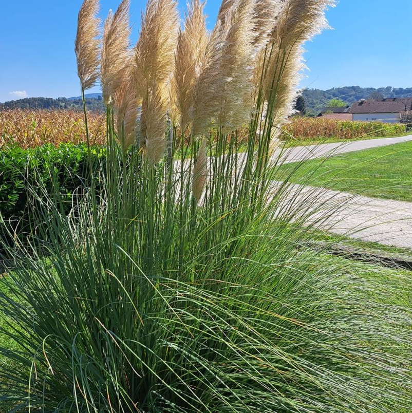 Natančno urejanje vrtov Bizeljsko