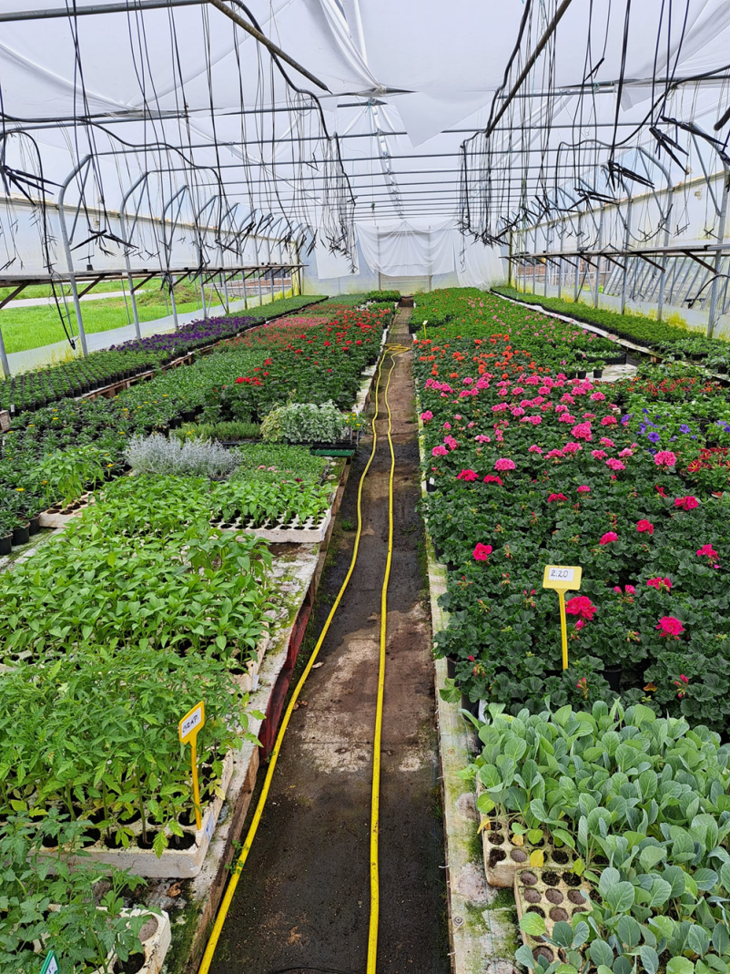 Kakovostno urejanje vrtov