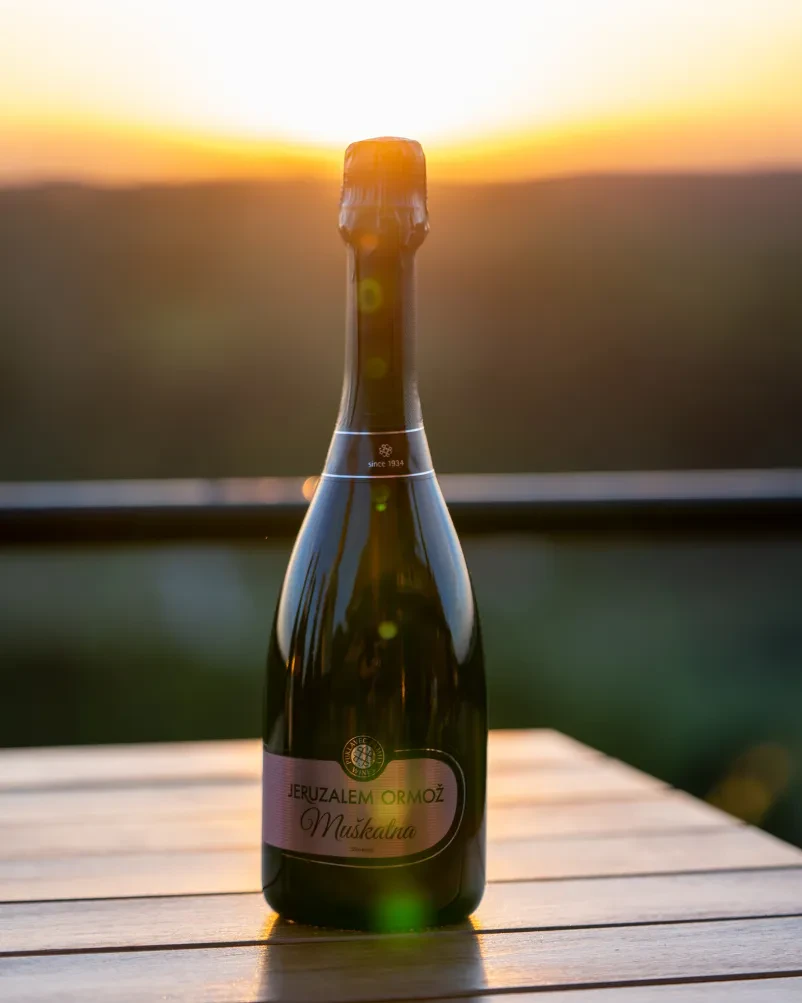 Okusno vino na Štajerskem