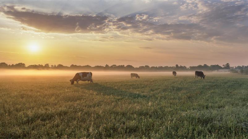 Kakovostni dobavitelji